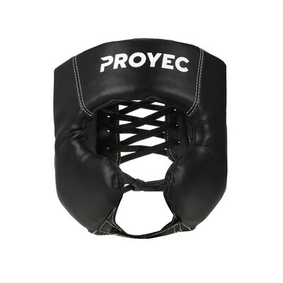 Protector Proyec Starter