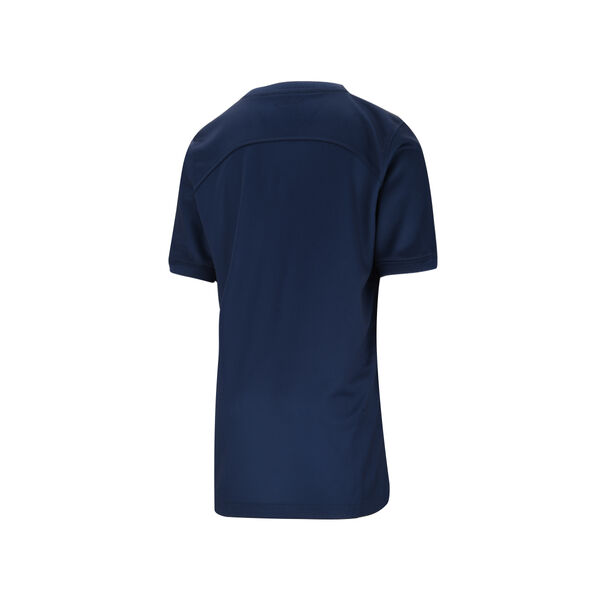 Camiseta Paris Saint Germain Nike Df Stadium Ss Home para Ni&ntilde;os