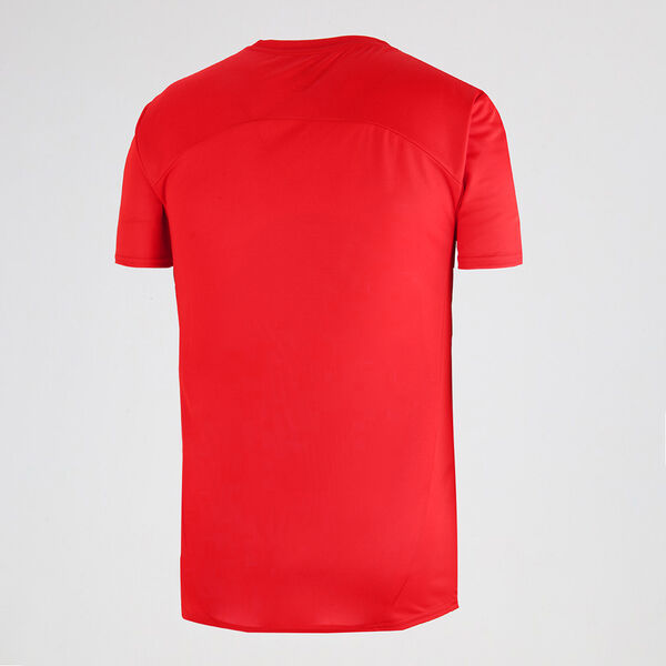 Camiseta Independiente Puma Entrenamiento 24/25 para Hombre