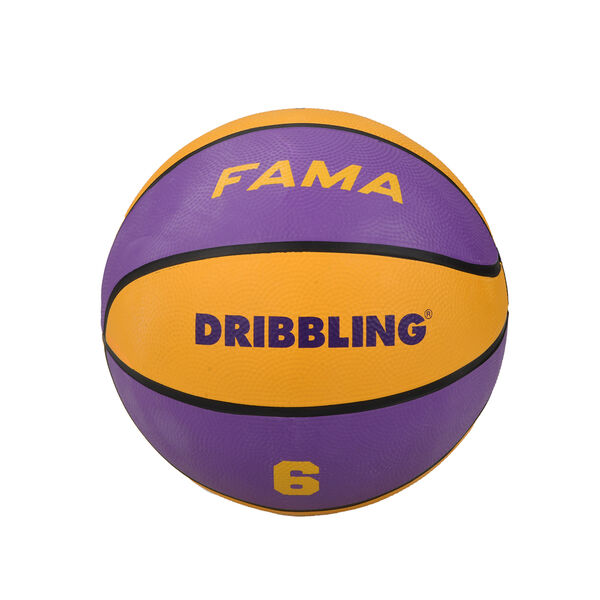 Pelota Básquet Dribbling Fama N5