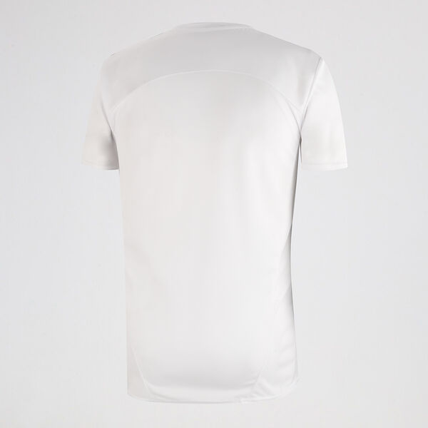 Camiseta Independiente Puma Entrenamiento 2024 Hombre