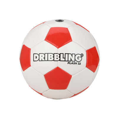 Pelota Dribbling Flash 22