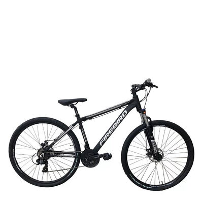 Bicicleta Fire Bird Eco
