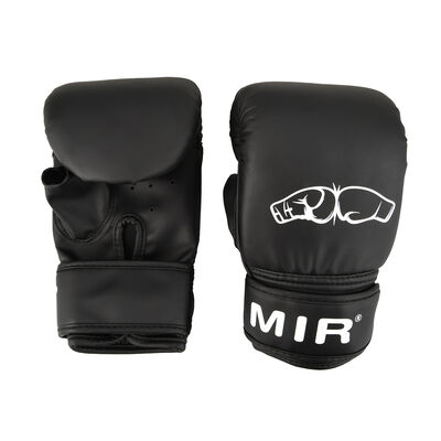 Guantin Mir Boxing
