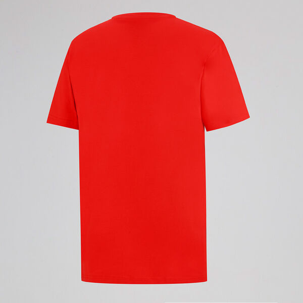 Camiseta Independiente Puma FTBL Hombre