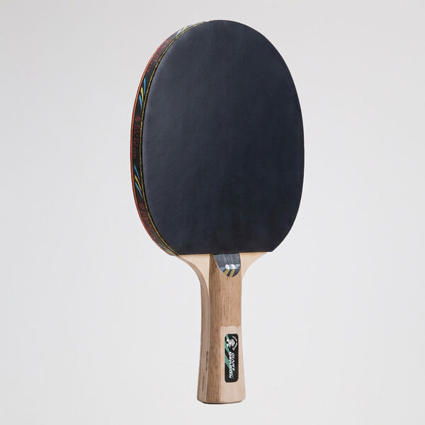 Paleta Ping Pong Giant Dragon 2 Estrellas