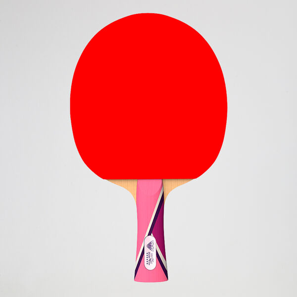Paleta Ping Pong Double Fish 6 Diamonds