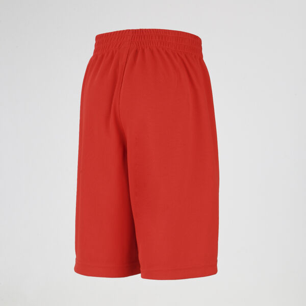 Short Nike Badge Ni&ntilde;o