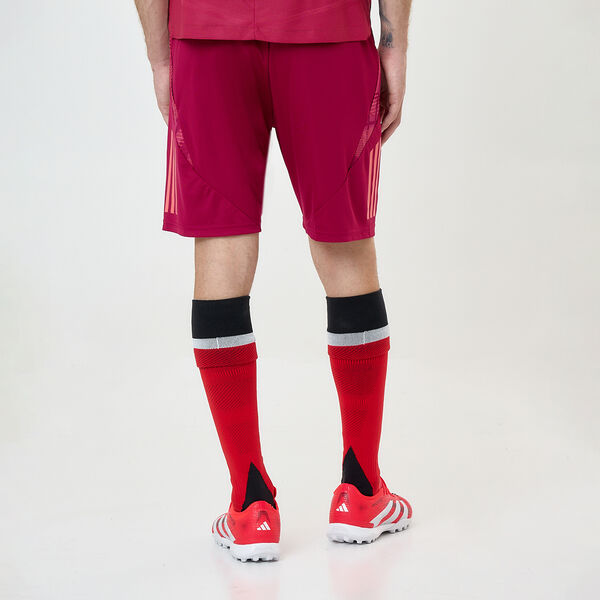 Short Fútbol adidas River Plate Entrenamiento 24/25 Hombre