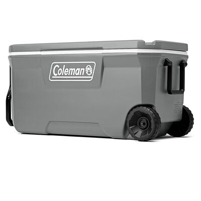Conservadora Coleman Chest 1000 C/R Rocky
