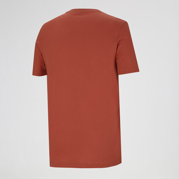 Remera Puma Graphics Hombre