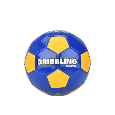Pelota Dribbling Flash 22