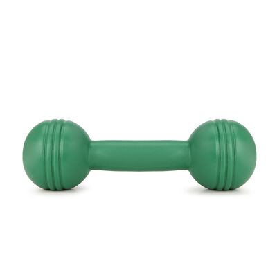 Mancuerna MIR Fitness Plástico 3 kg
