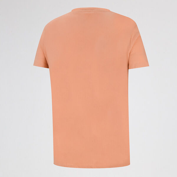 Remera Converse Classic Fit Hombre