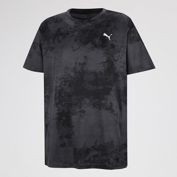 Remera Entrenamiento Puma Flex Hombre