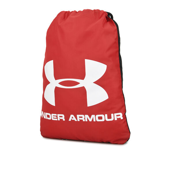 Mochilas Under Armour Ozsee