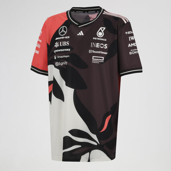 Remera adidas Mercedes AMG Petronas F1 Hombre