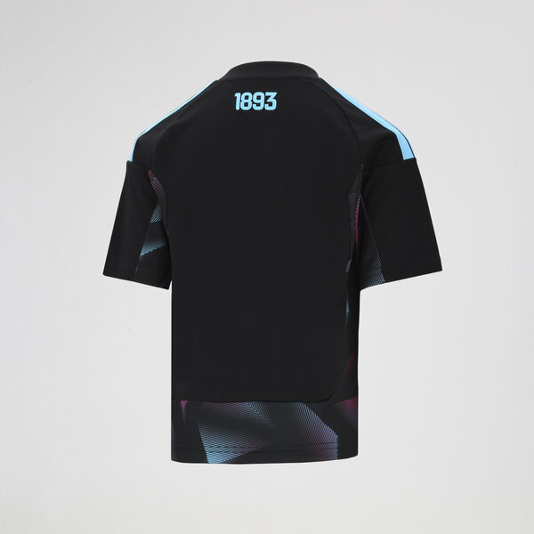 Camiseta Argentina adidas Arquero Titular 2026 Niño