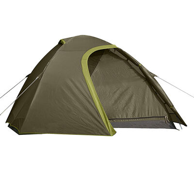 Carpa Coleman Darwin 2