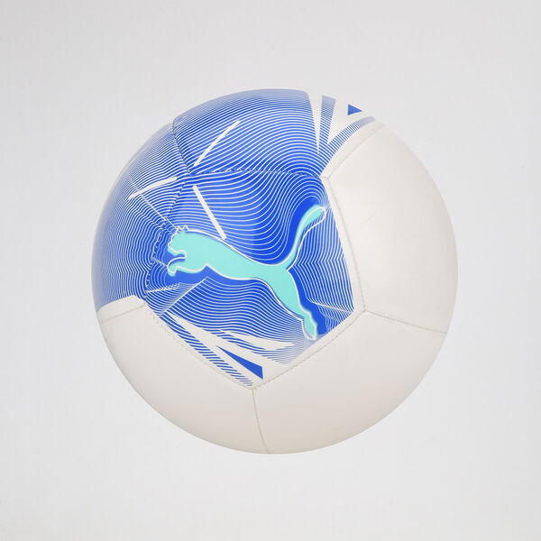 Pelota Puma Big Cat N5