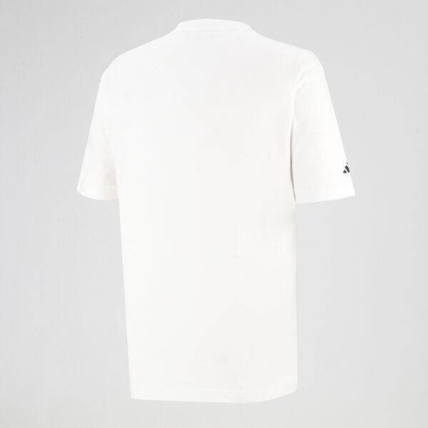 Remera adidas River Plate Seasonal Graphic Hombre