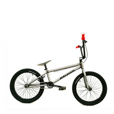 Bicicleta Raleigh Freestyle R20