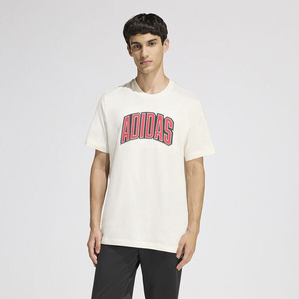 Remera adidas Collegiate Graphic Hombre
