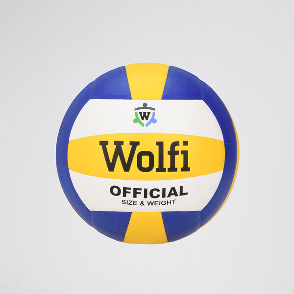 Pelota Voley Wolfi Vector