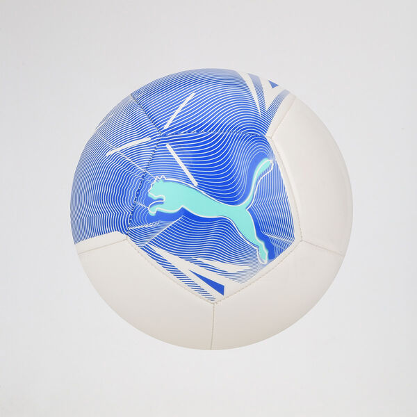 Pelota Puma Big Cat N5