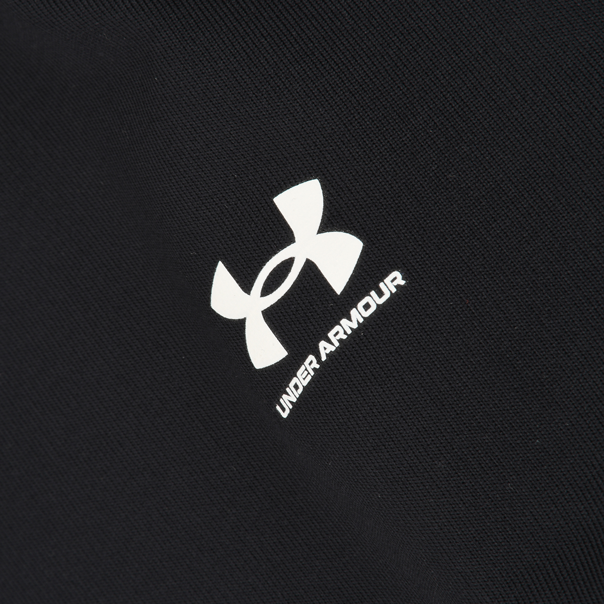 Remera Entrenamiento Under Armour Authentics Crew LS Mujer,  image number null