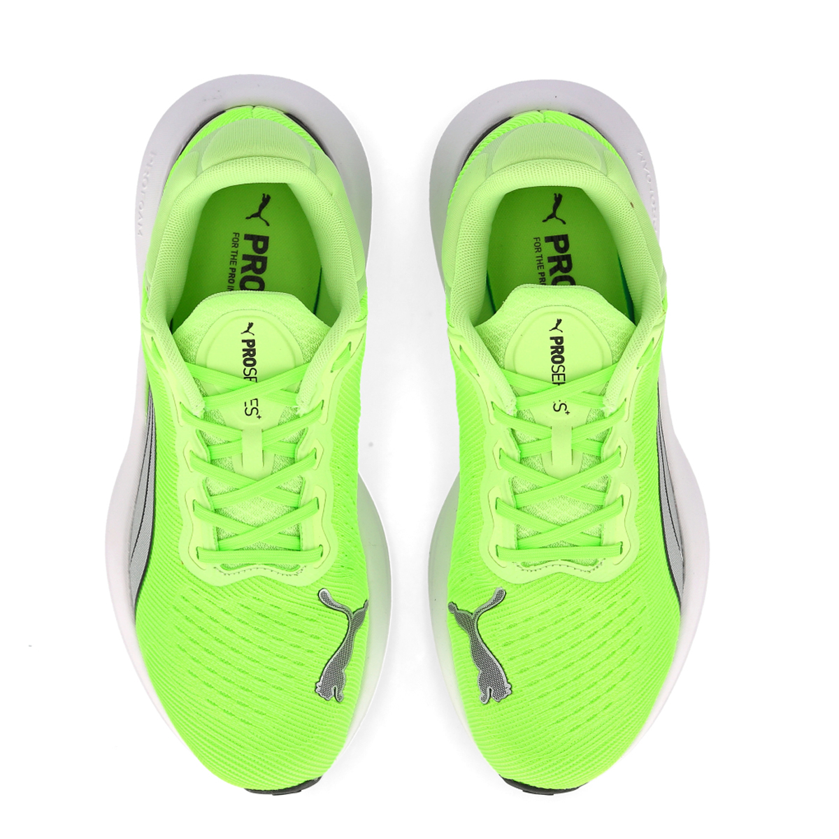 Zapatos puma 2017 shop catalogo