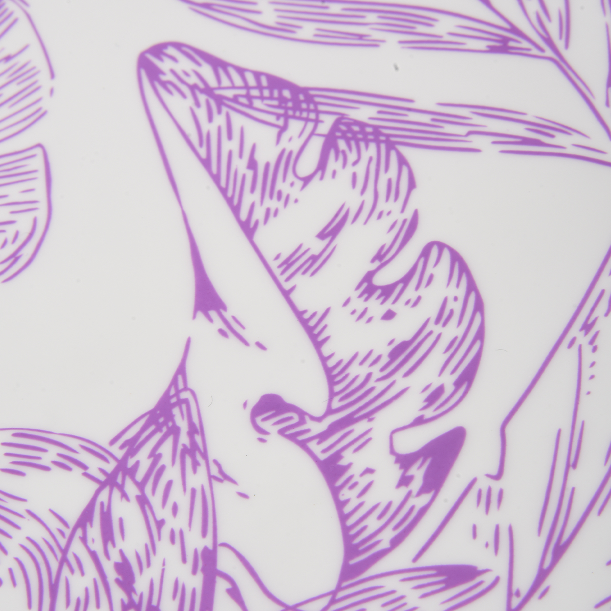 Gorra Arena Sirene,  image number null