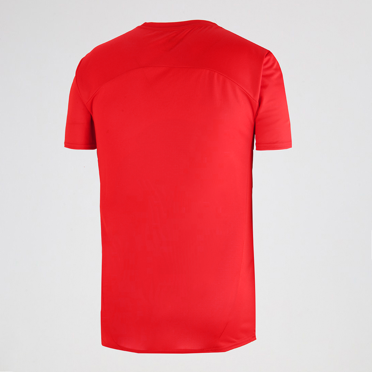 Camiseta Independiente Puma Entrenamiento 24/25 para Hombre,  image number null