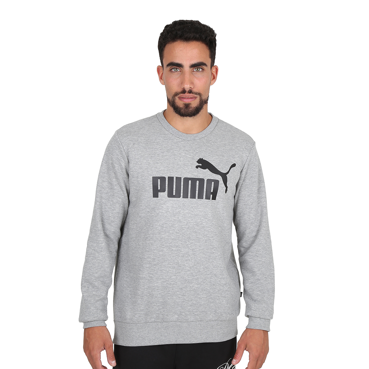Buzo Puma Essentials Big Logo Crew,  image number null