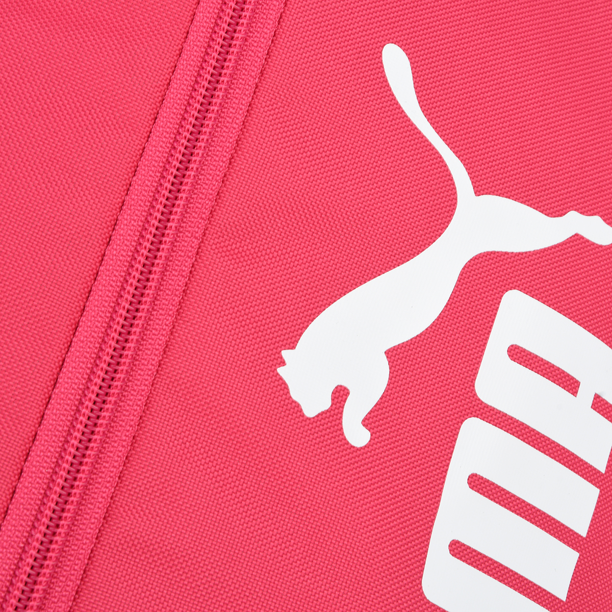 Tuta puma argentina 2025