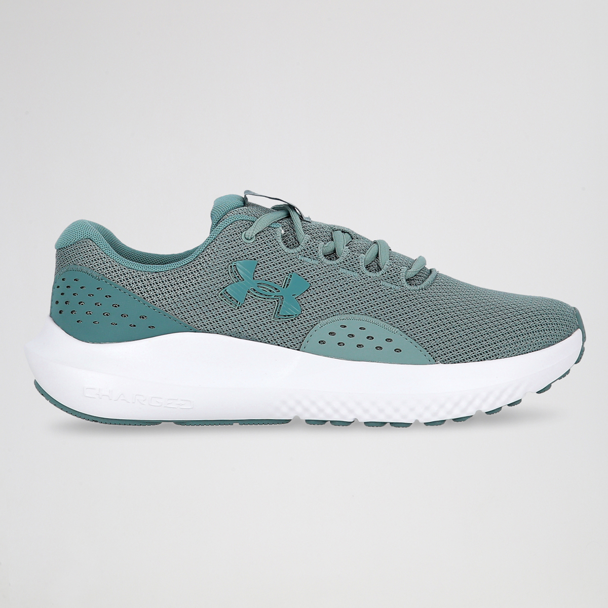 Zapatillas Running Under Armour Charged Surge 4 Hombre,  image number null