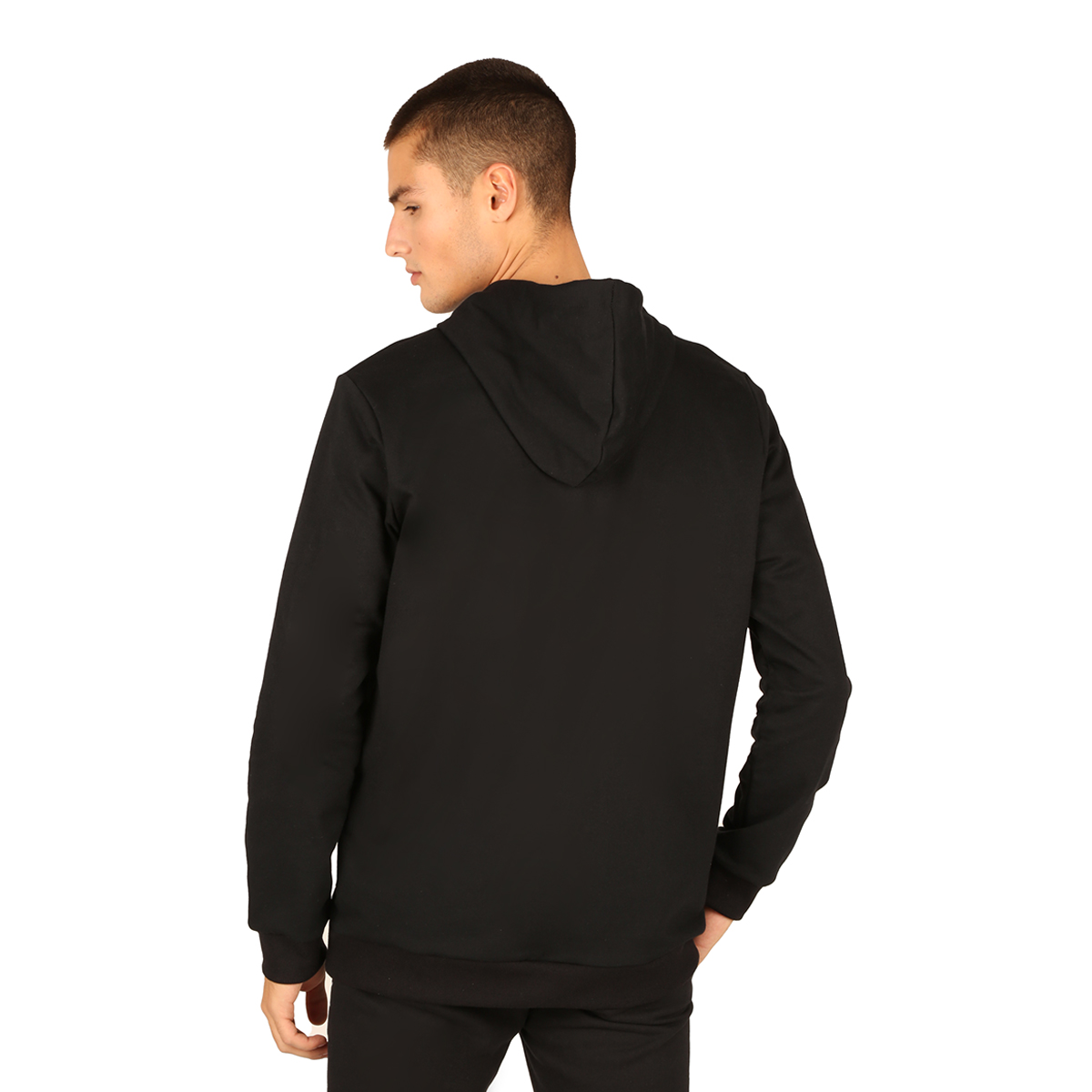 Campera Puma Essentials Small Logo Fz,  image number null