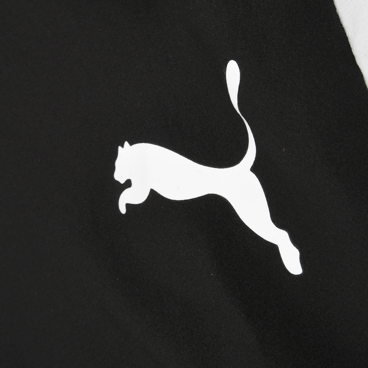 Conjunto Entrenamiento Puma  Favorite Hombre,  image number null