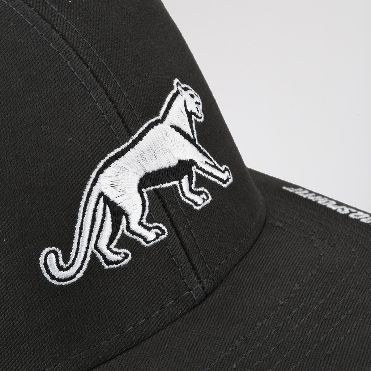 Gorra Le Coq Sportif Pumas Essentiel,  image number null