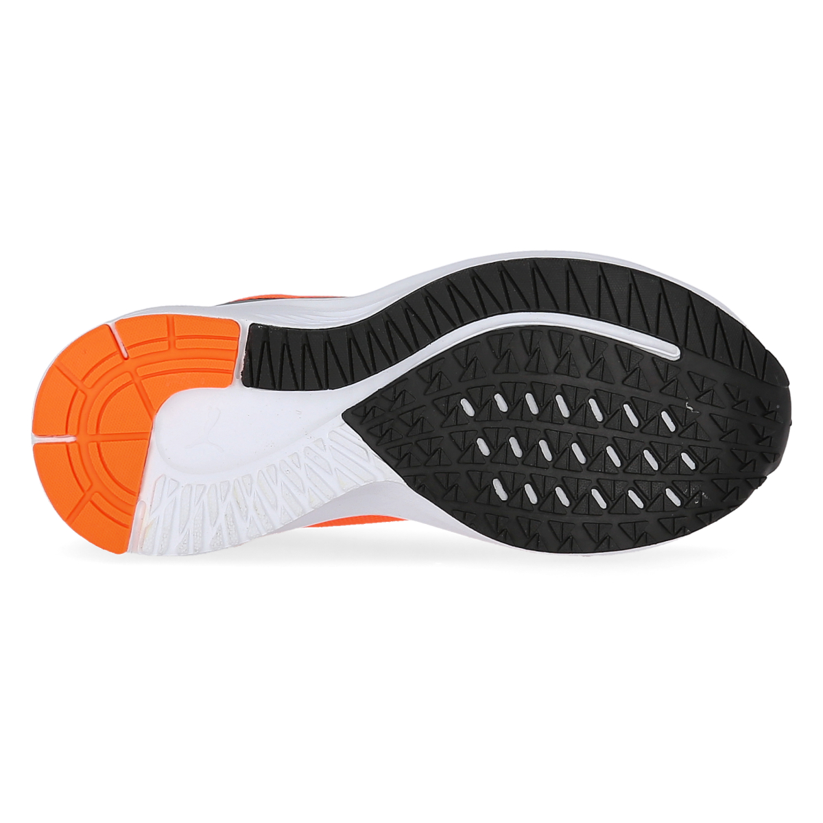 Zapatillas Running Puma Aviator Light Pro Unisex,  image number null