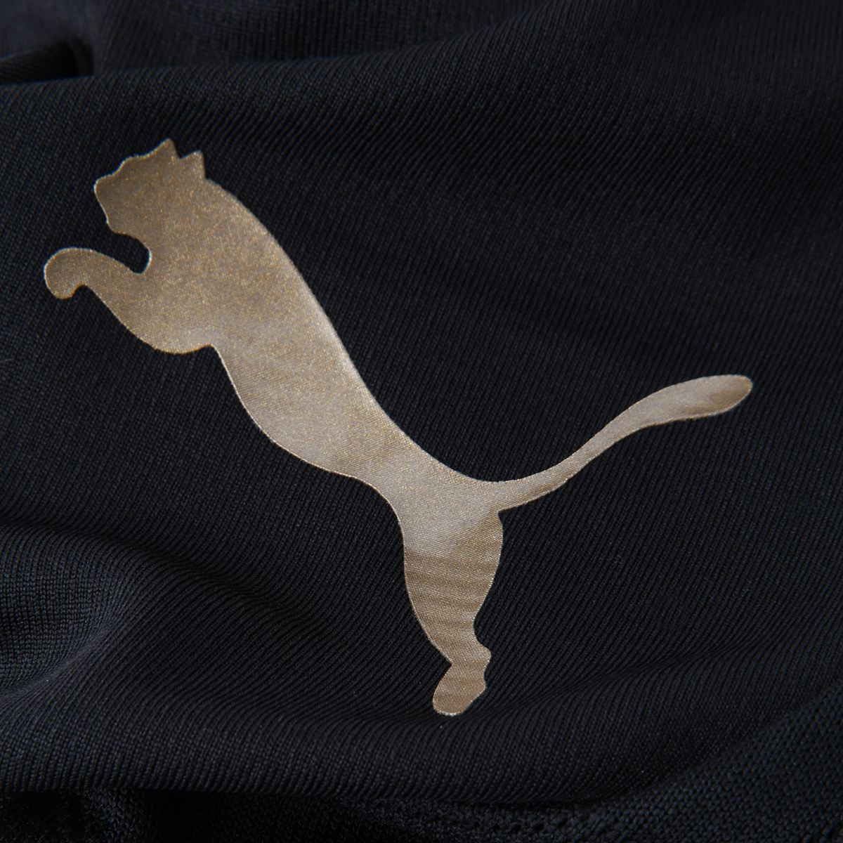 Short AC Milan Puma Entrenamiento 24/25 Hombre,  image number null