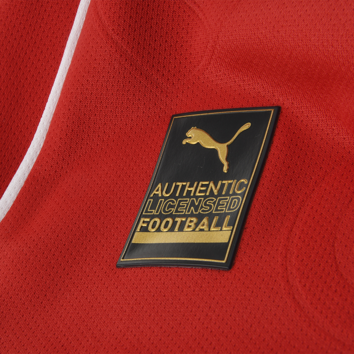 Camiseta Independiente Puma Titular 25/26 Hombre,  image number null