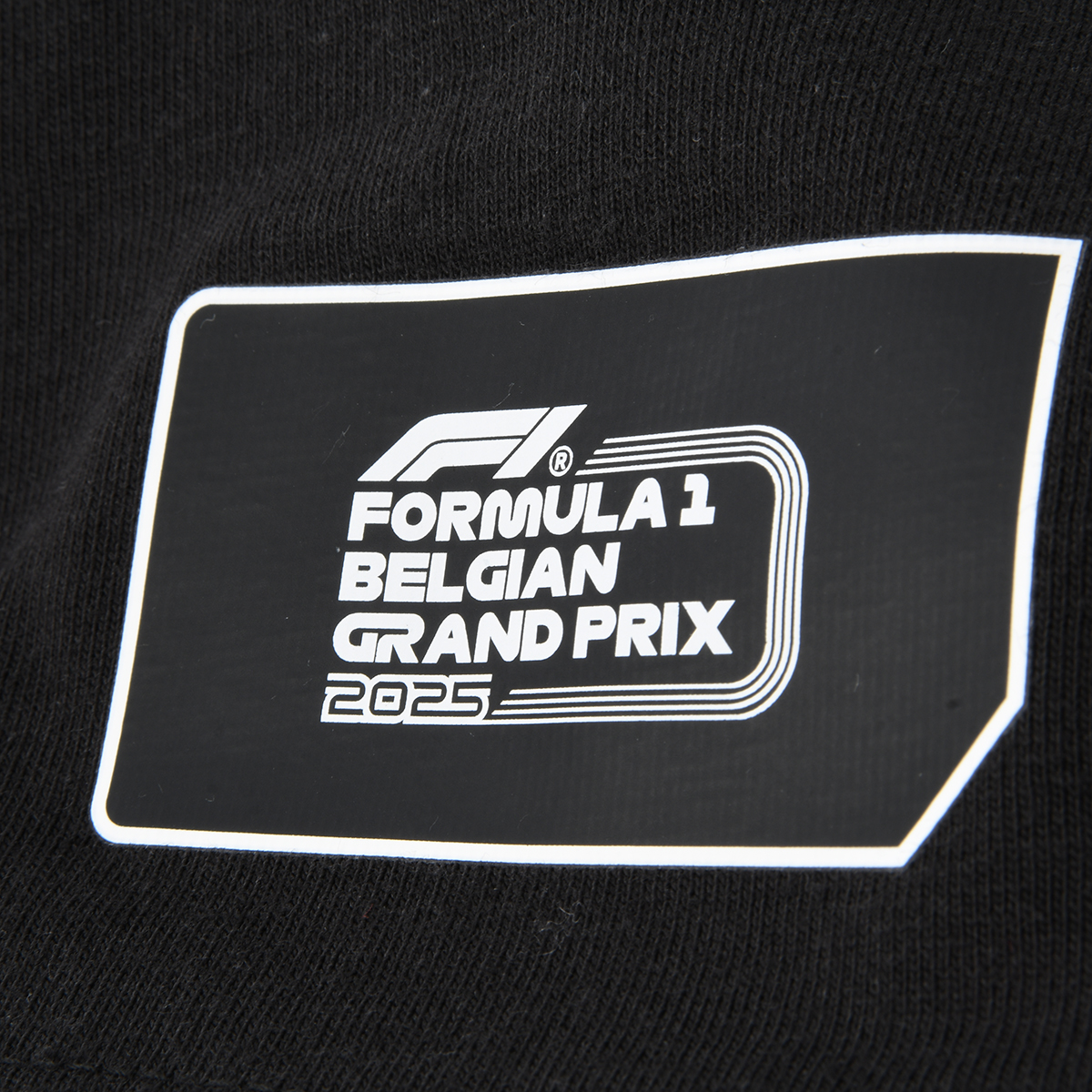 Remera Puma F1 Belgium Hombre,  image number null