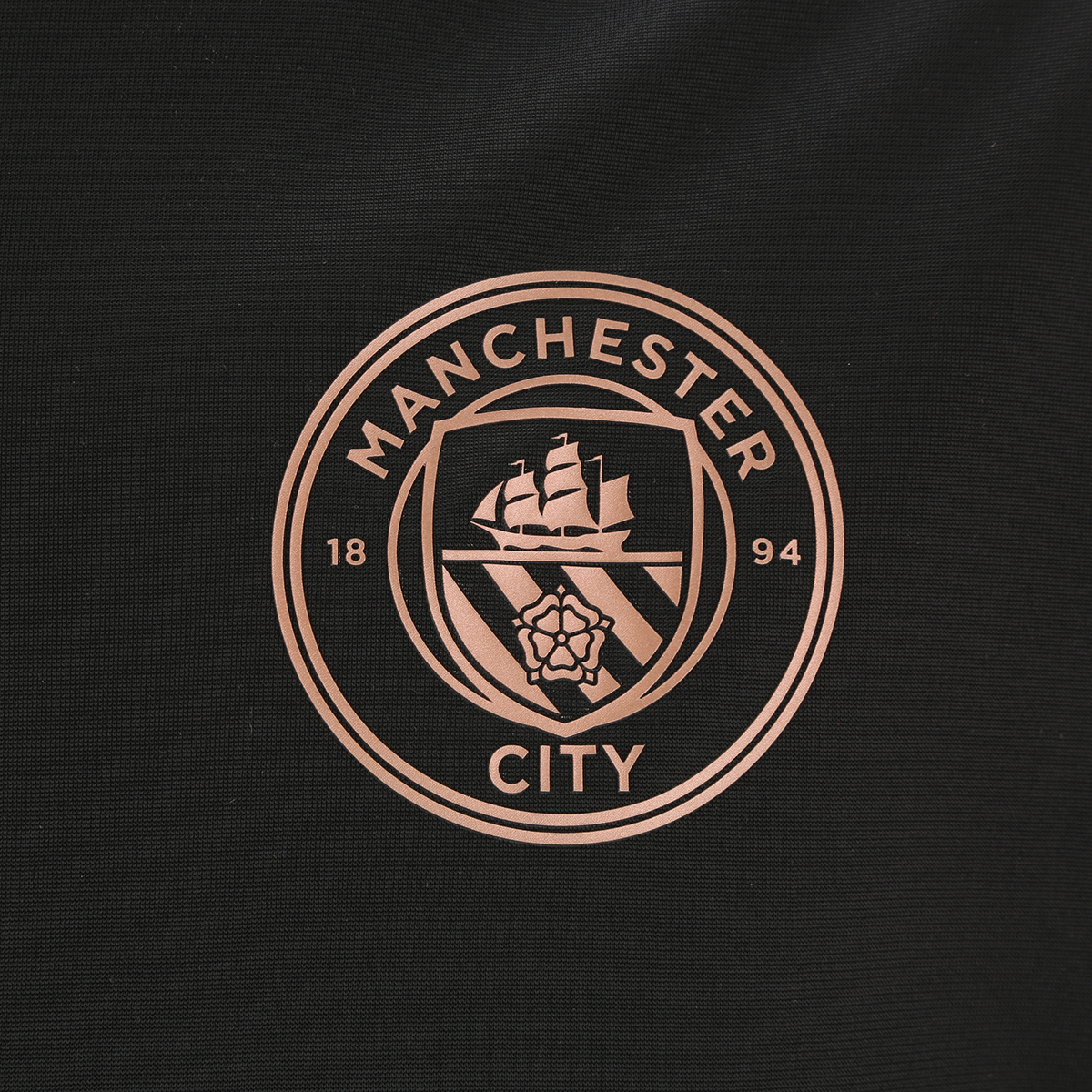 Campera Puma Manchester City 20/21 Stadium,  image number null