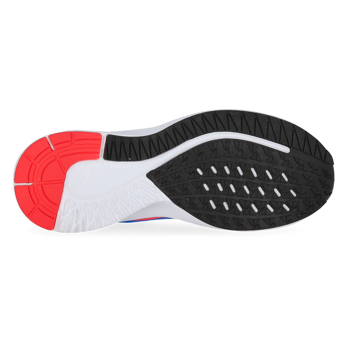 Zapatillas Running Puma Aviator Eng Pro Hombre,  image number null