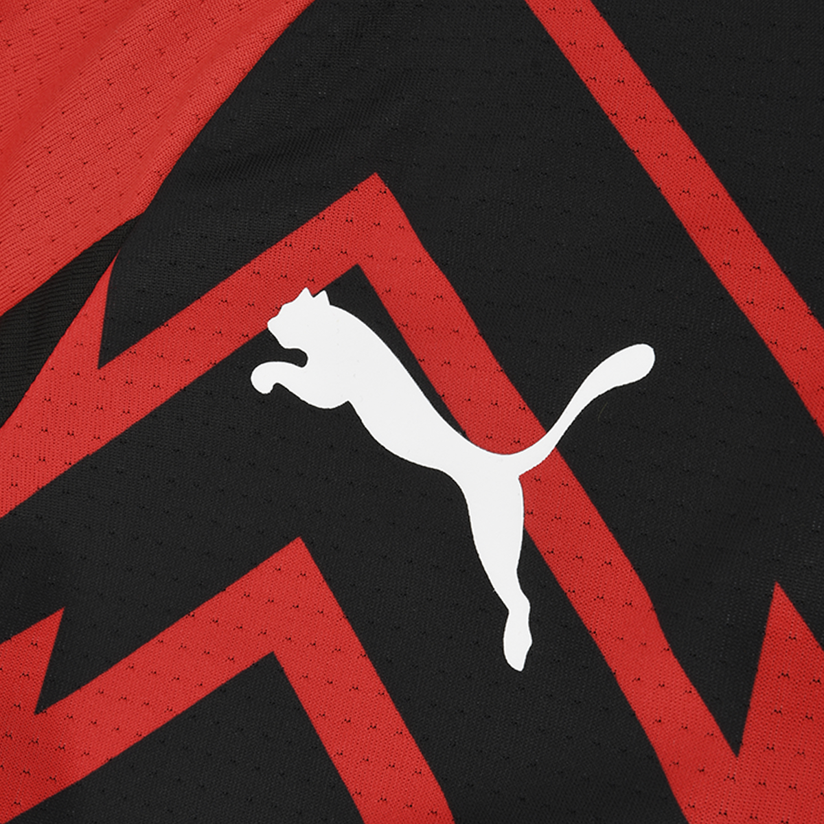 Camiseta Milan Puma Pre-partido 23-24 Hombre