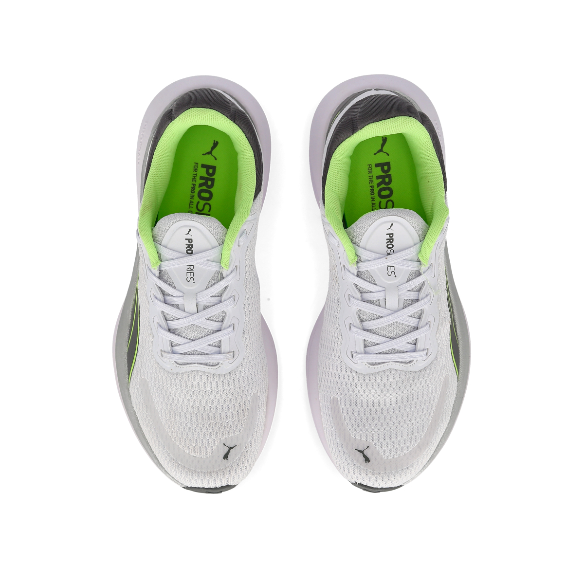 Running pumas online
