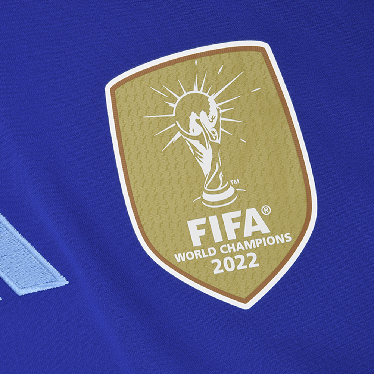 Camiseta adidas Seleccion Argentina Alternativa 2024 Hombre,  image number null