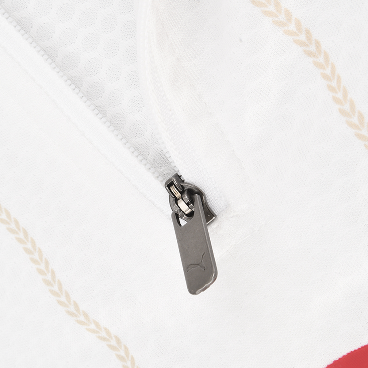Buzo Milan Puma Pre Partido 2025 de Hombre,  image number null