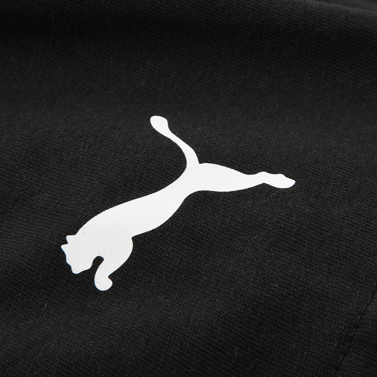 Remera Puma Bmw Mms Car,  image number null